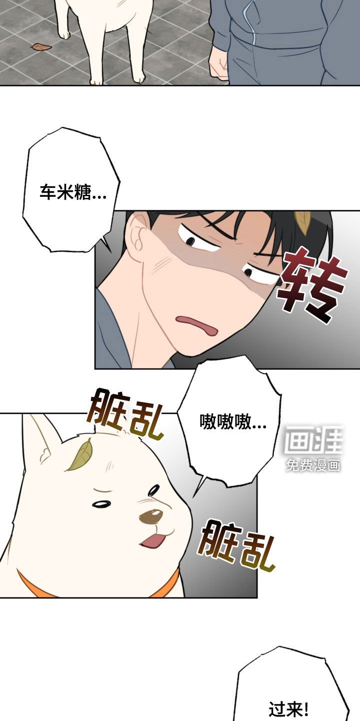 第110章：过生日