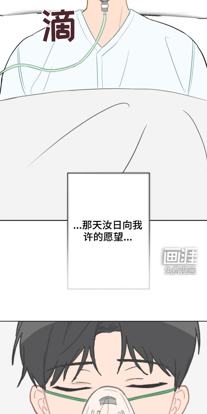 第86章：愿望