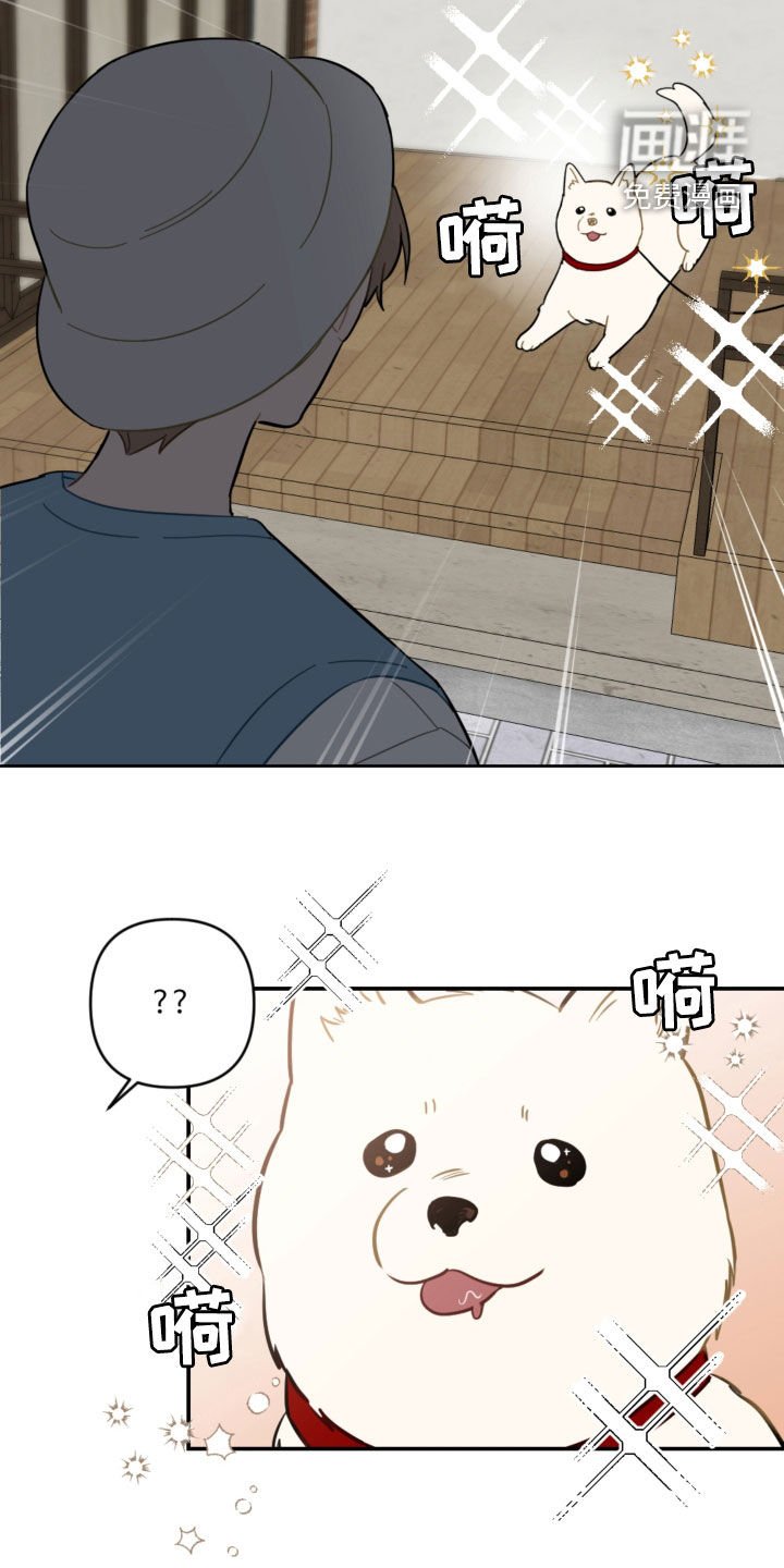 第93章：解决方法