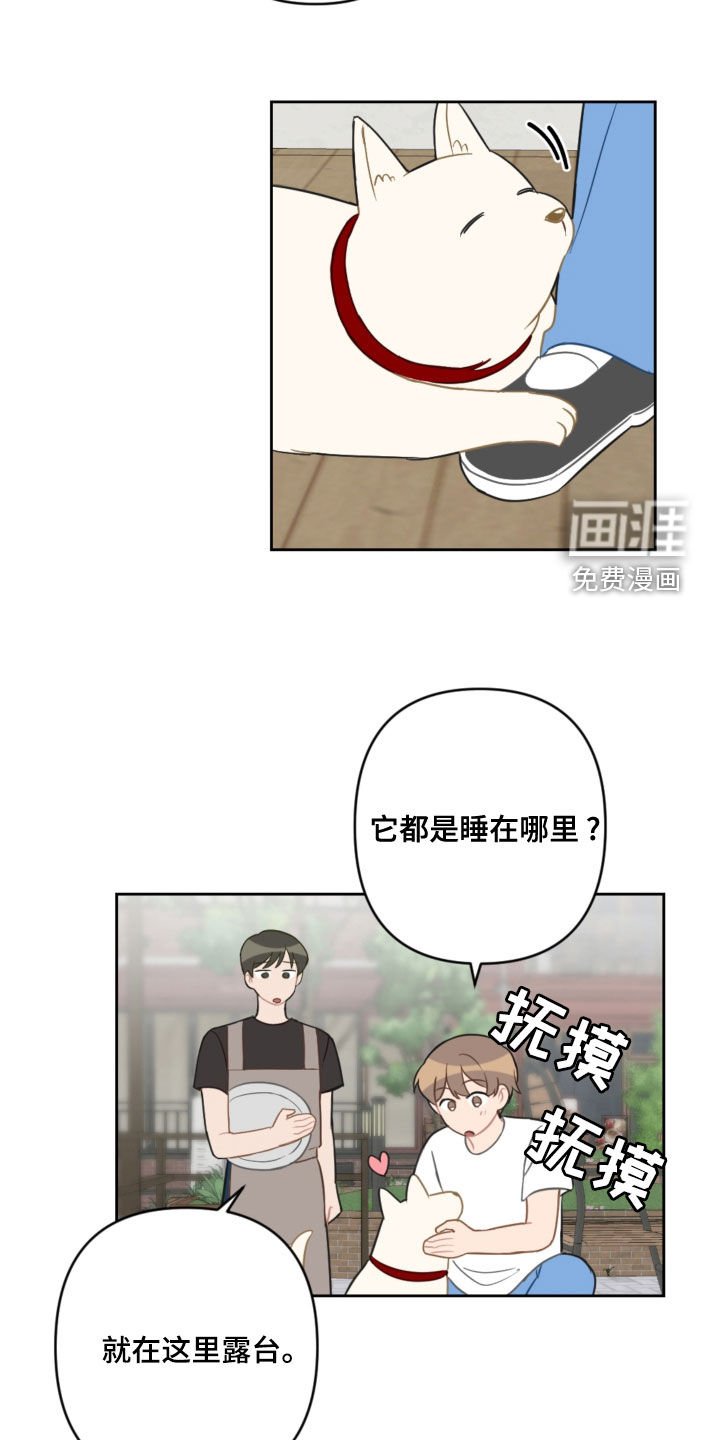 第98章：避风港