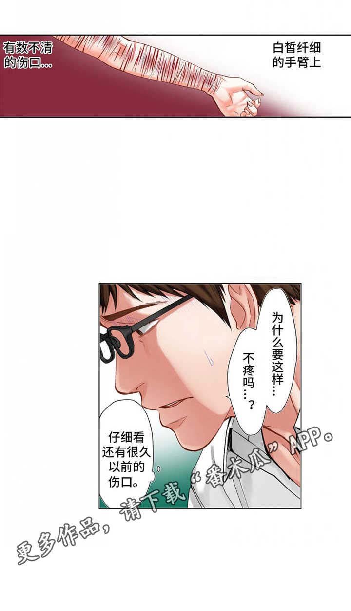 第19章：保护欲