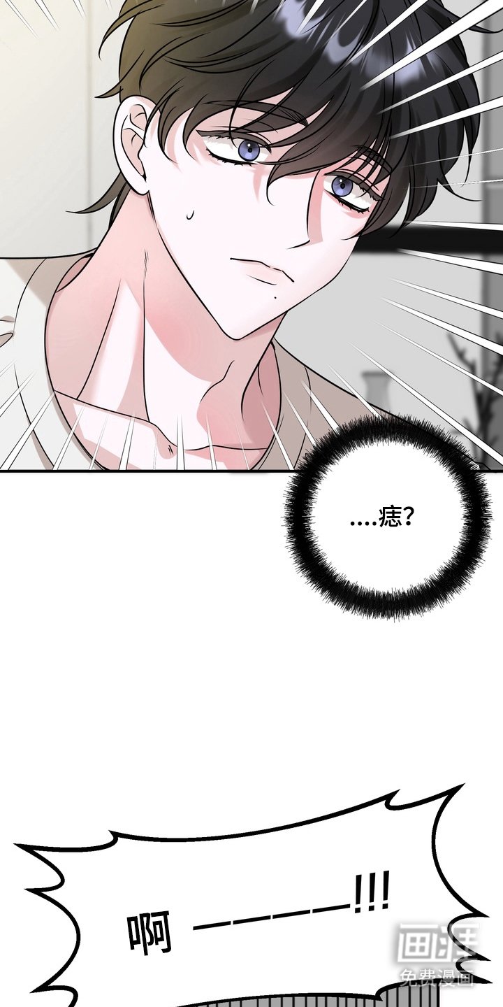第2章：我是你的粉丝