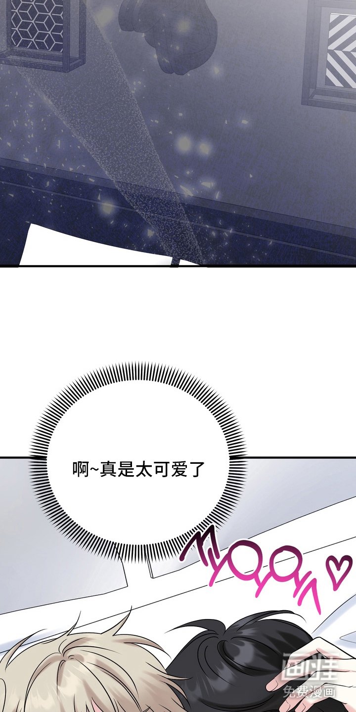 第5章：太可爱了