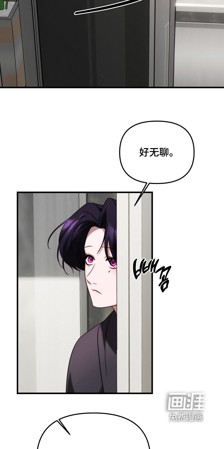 第15章：让我看看