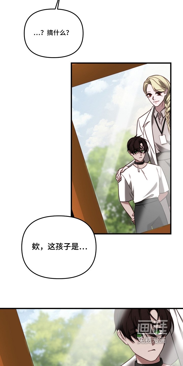 第15章：让我看看
