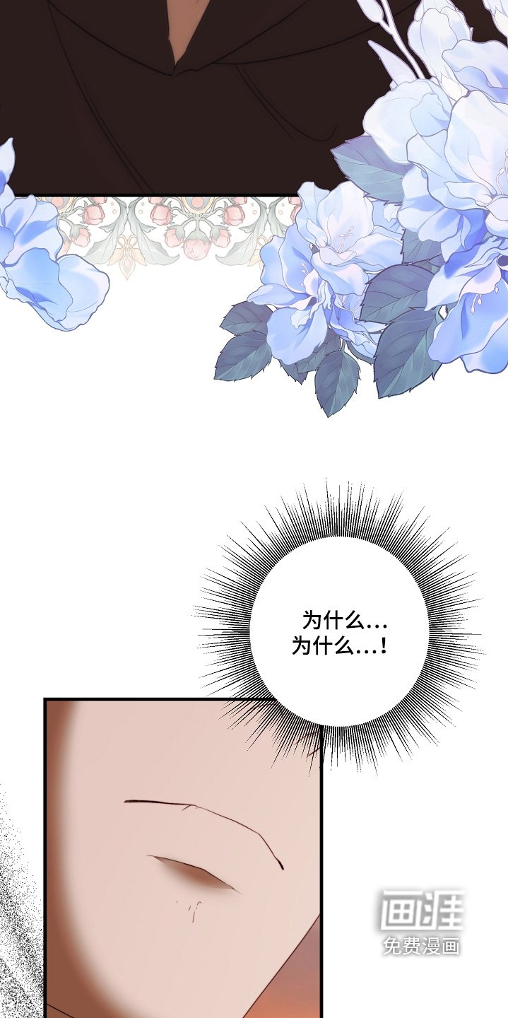 第42章：那个医生