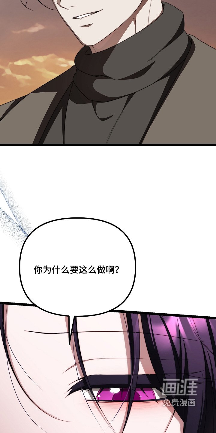 第48章：一见钟情