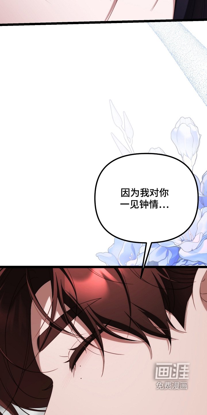 第48章：一见钟情