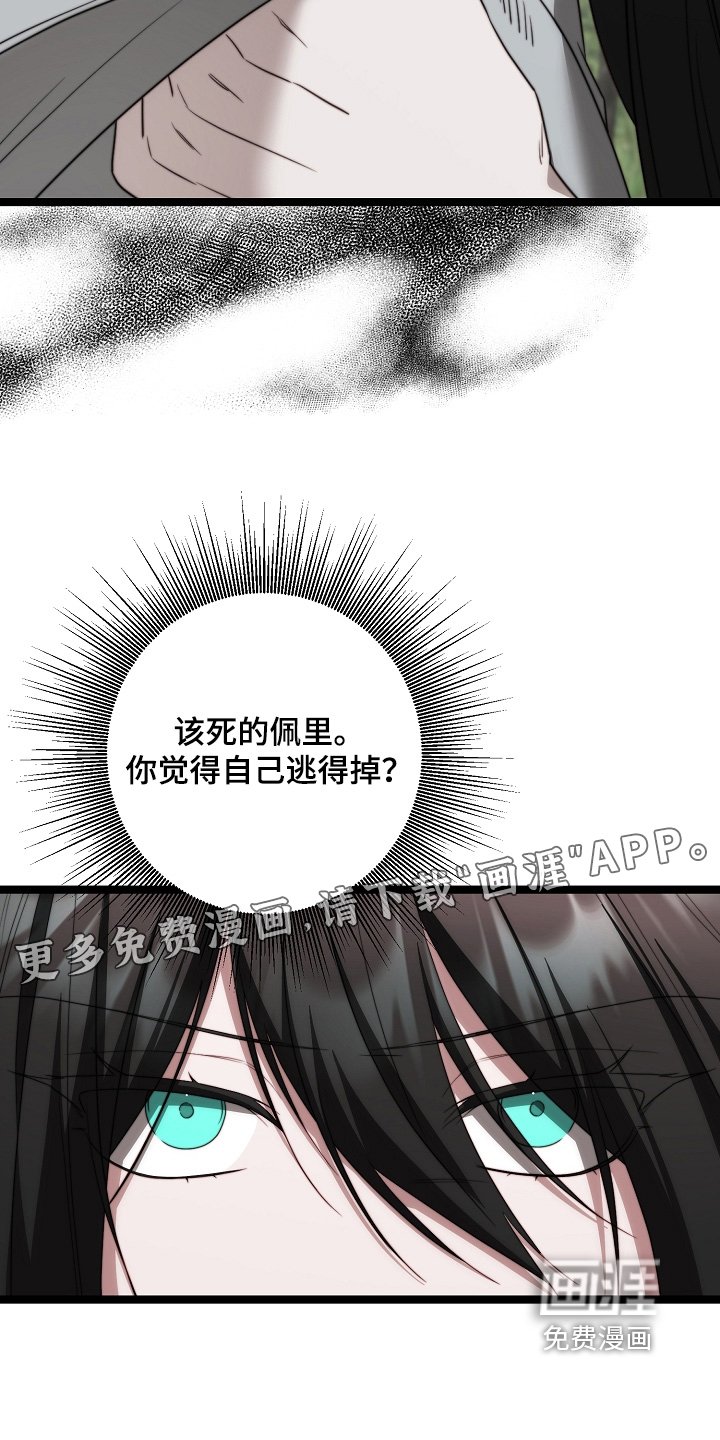第48章：一见钟情
