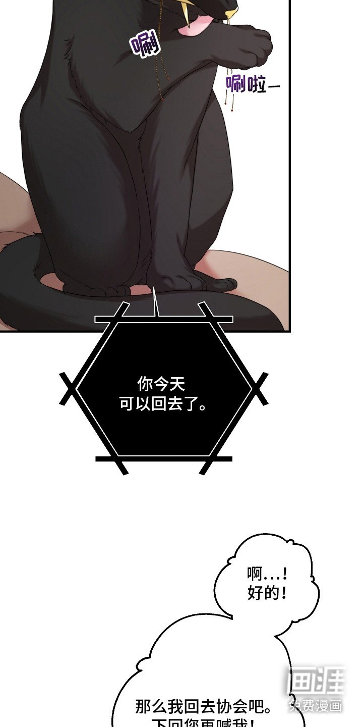 第5章：监视