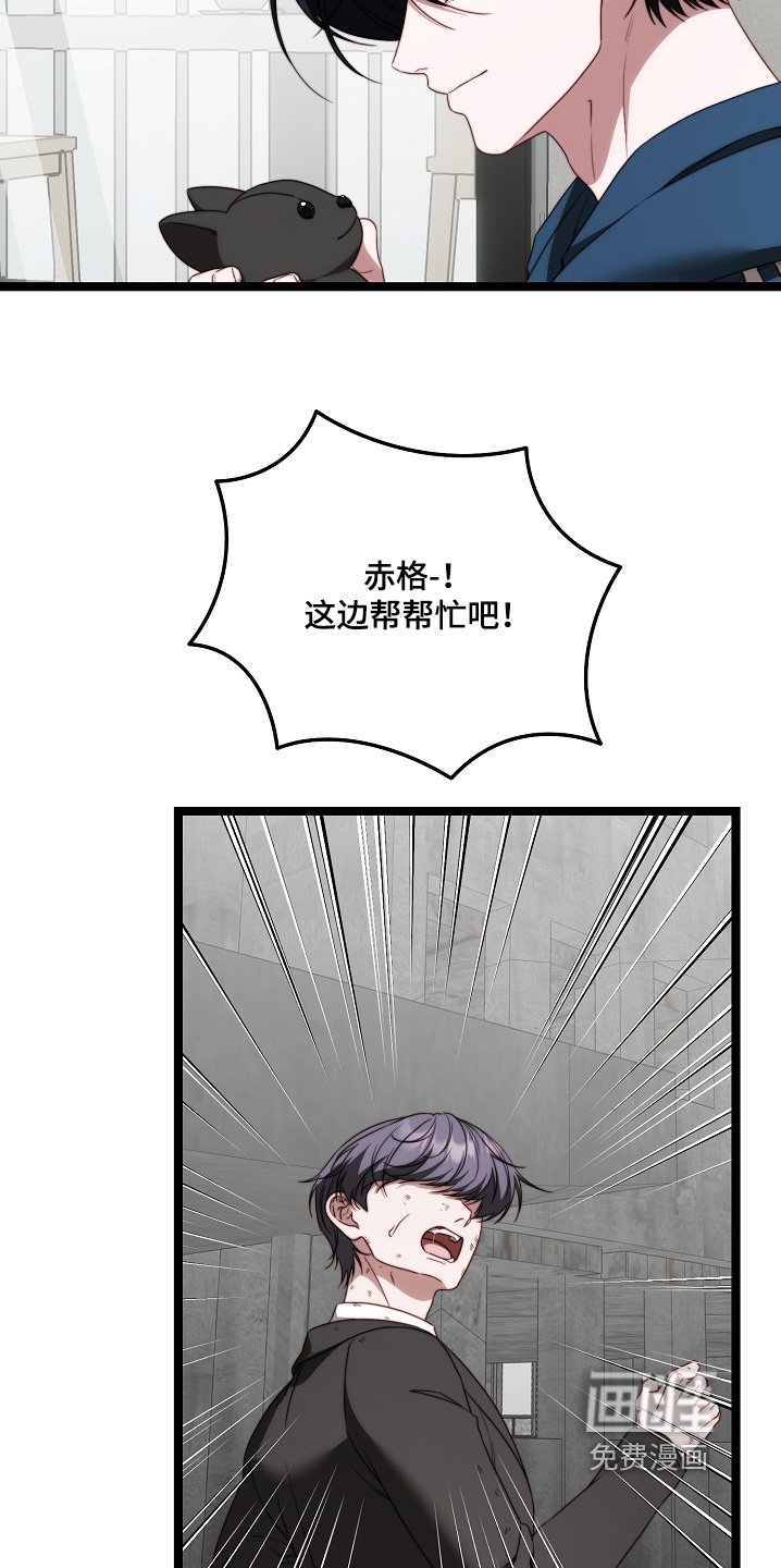 第50章：玩偶