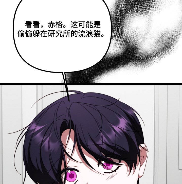 第51章：该回家了