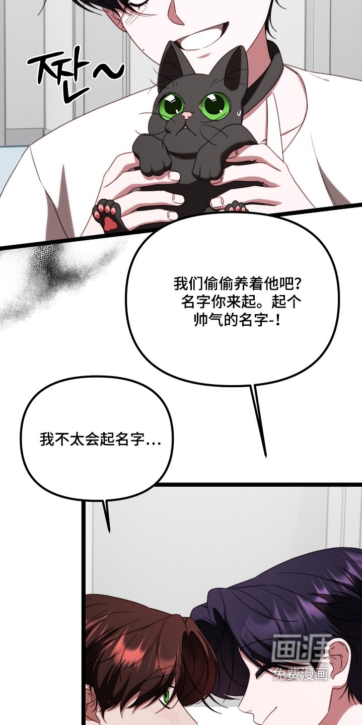 第51章：该回家了