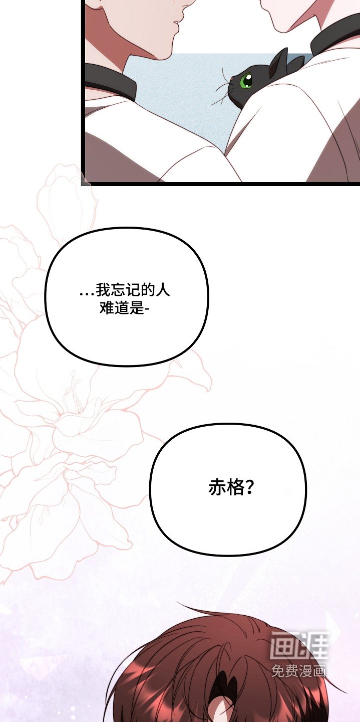 第51章：该回家了