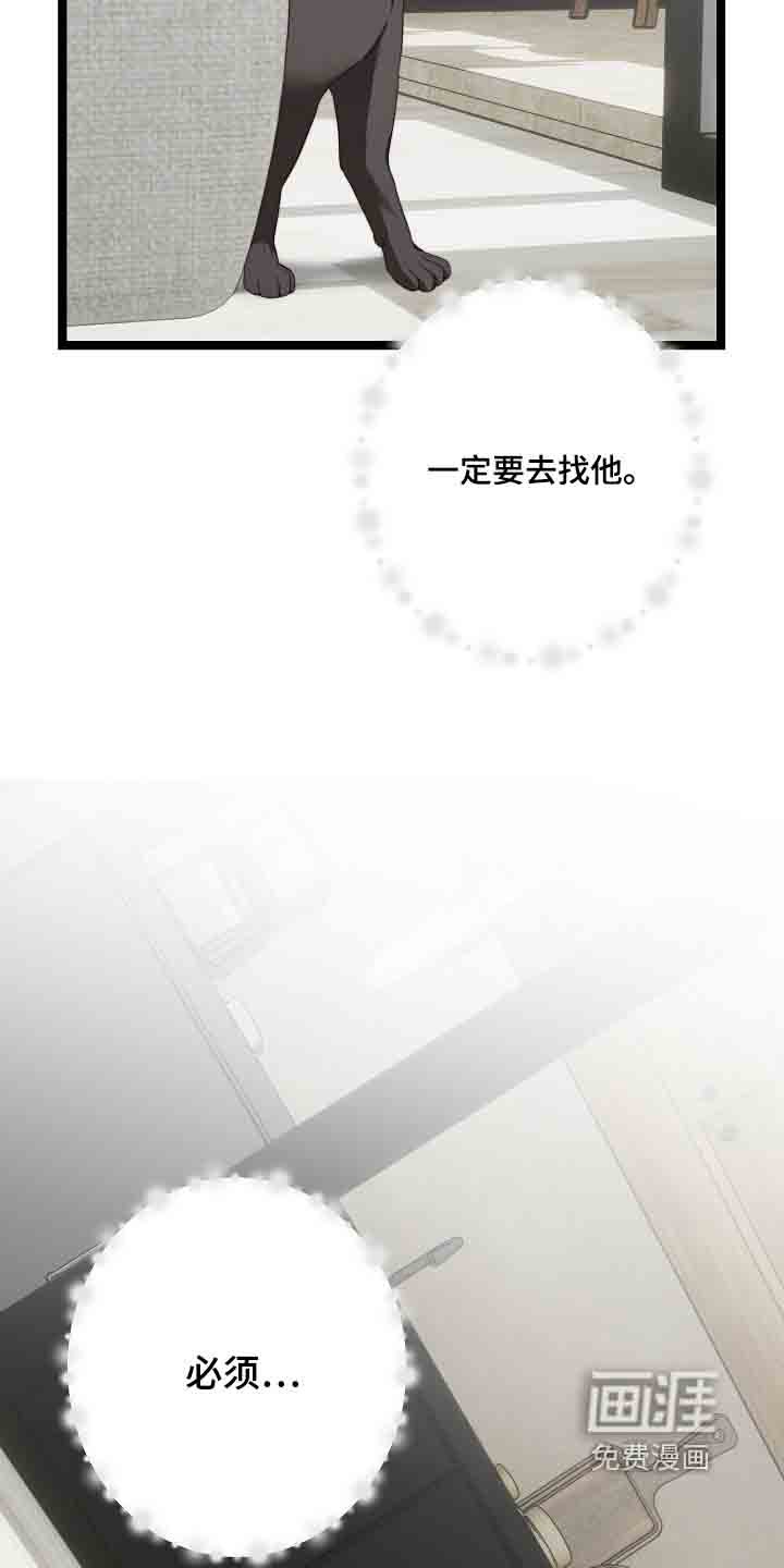 第55章：是你嘛