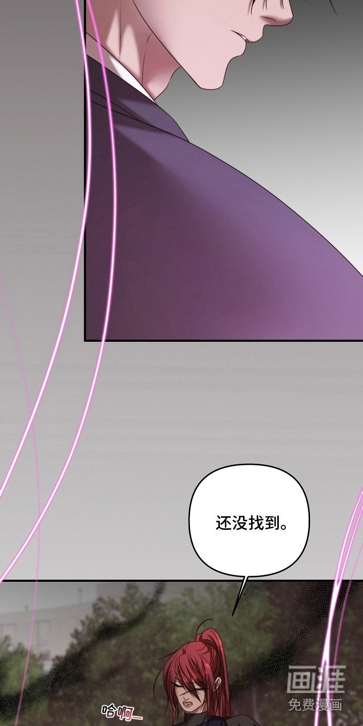 第6章：机密能力