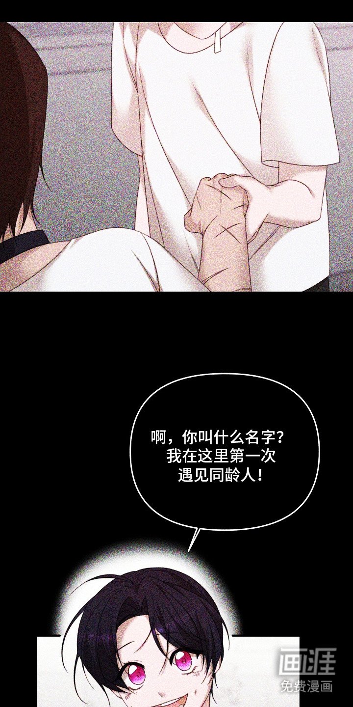 第6章：机密能力