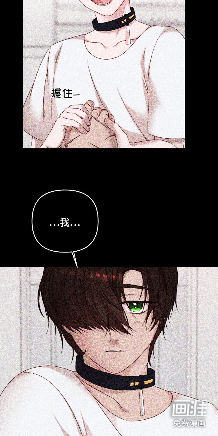 第6章：机密能力