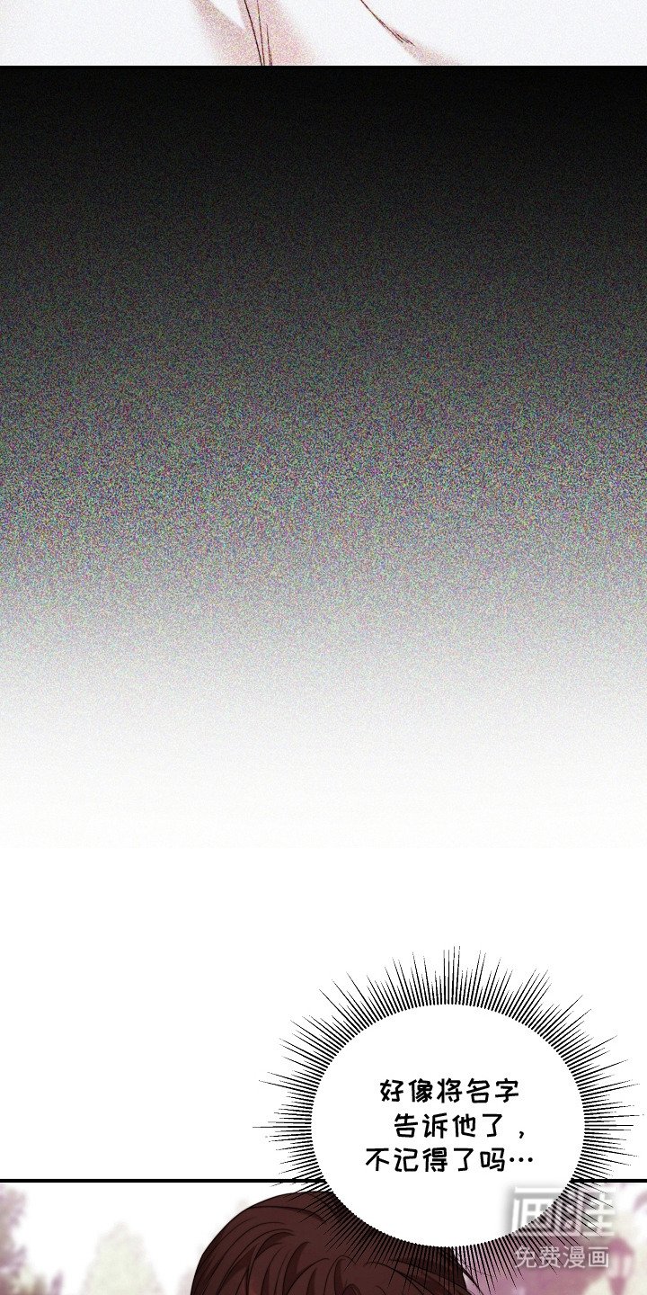 第6章：机密能力