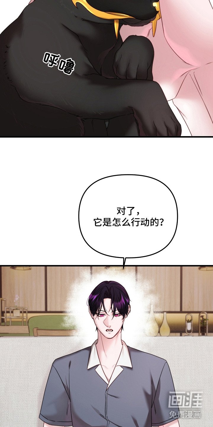 第6章：机密能力