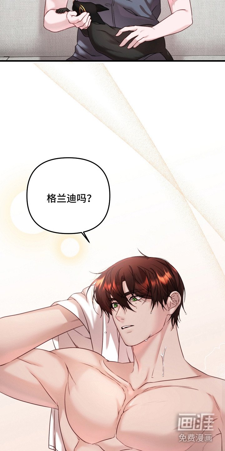 第6章：机密能力