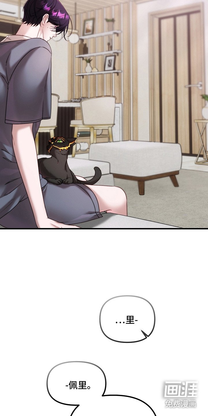 第7章：解释