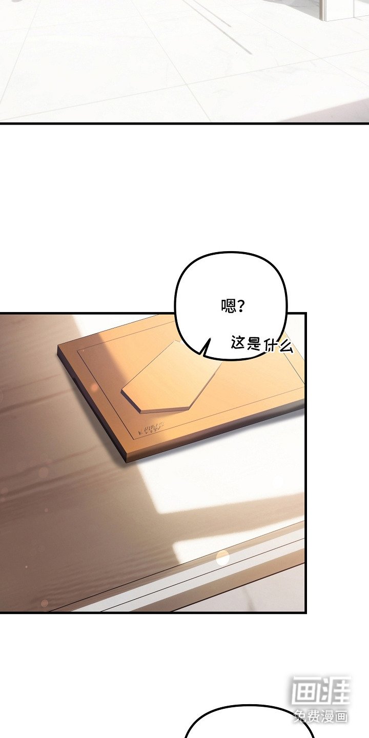 第8章：水母馆