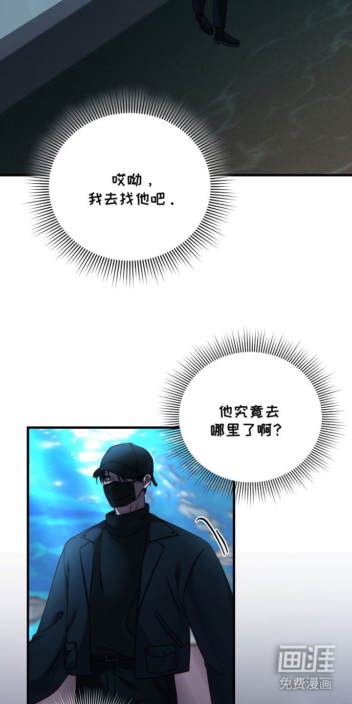 第9章：走散了