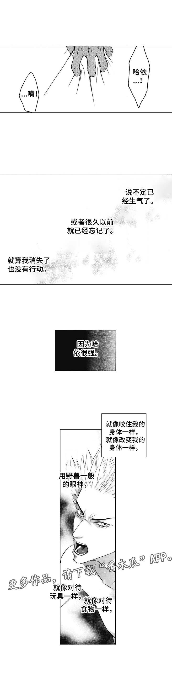 第4章：挂饰