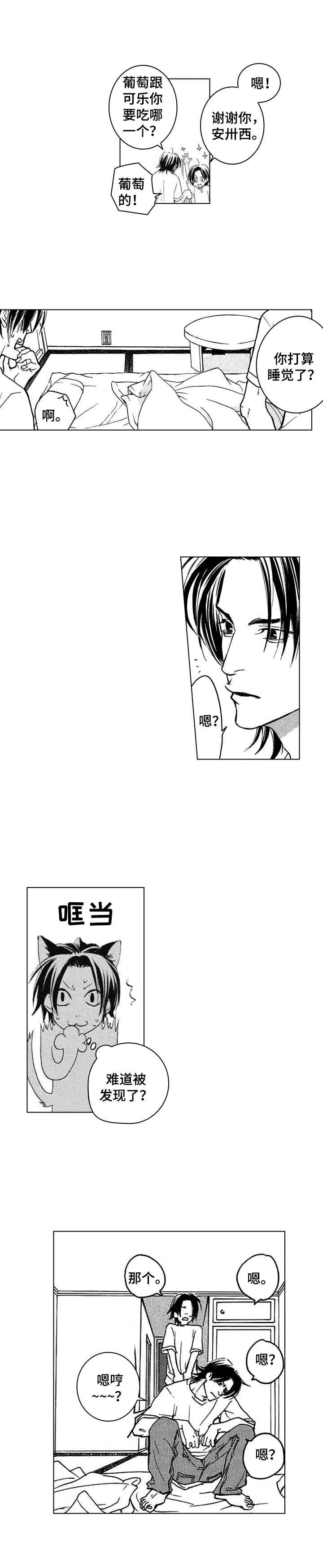 第4章：挂饰