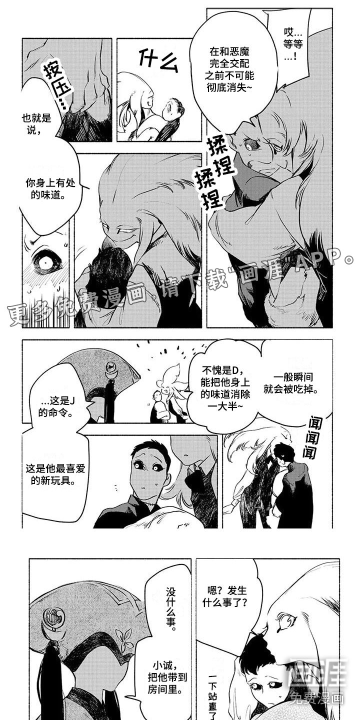 第13章：要做的事