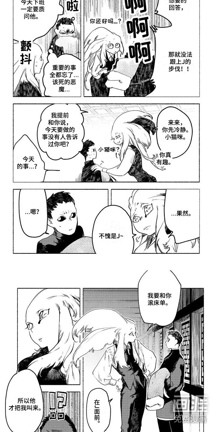 第13章：要做的事