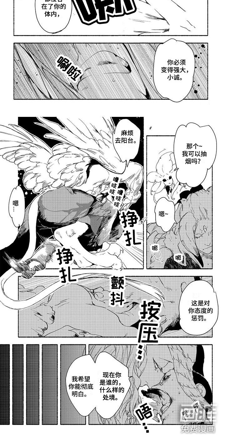 第14章：打压