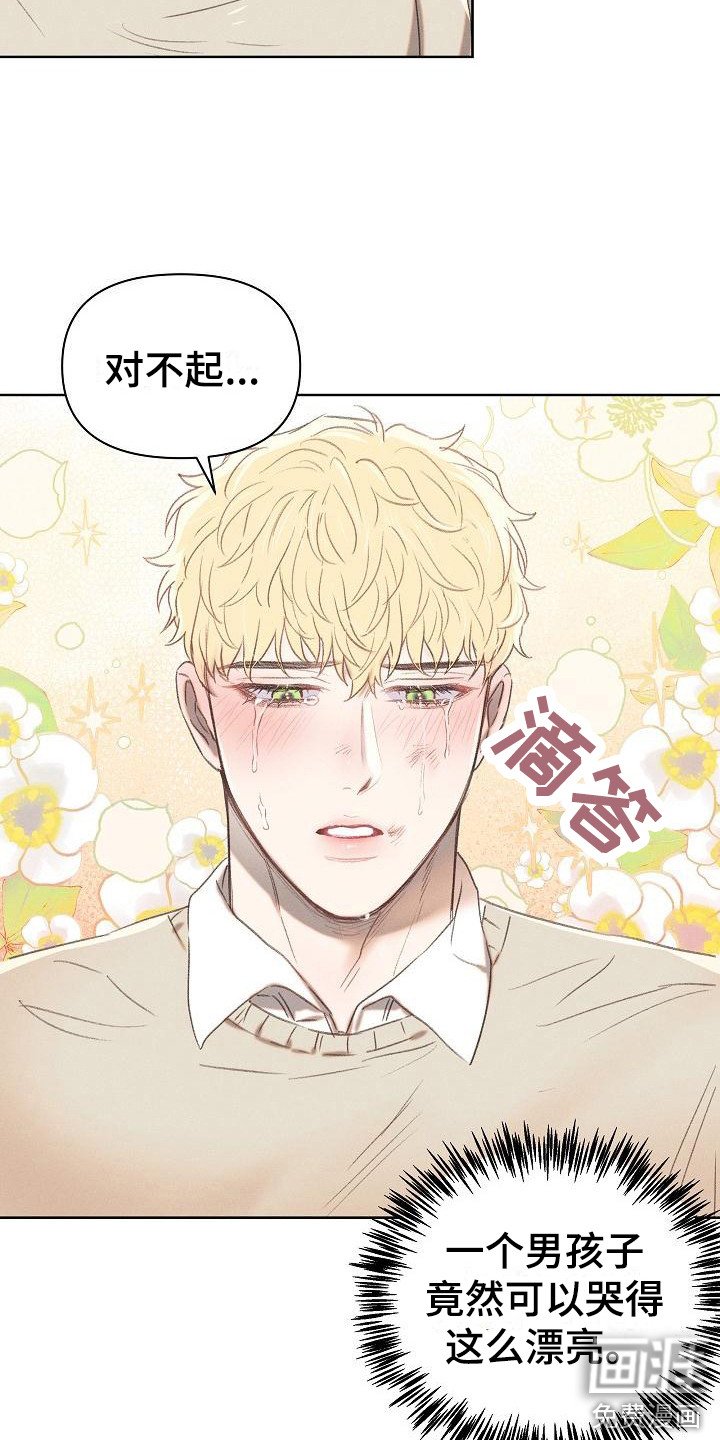 第12章：真心的
