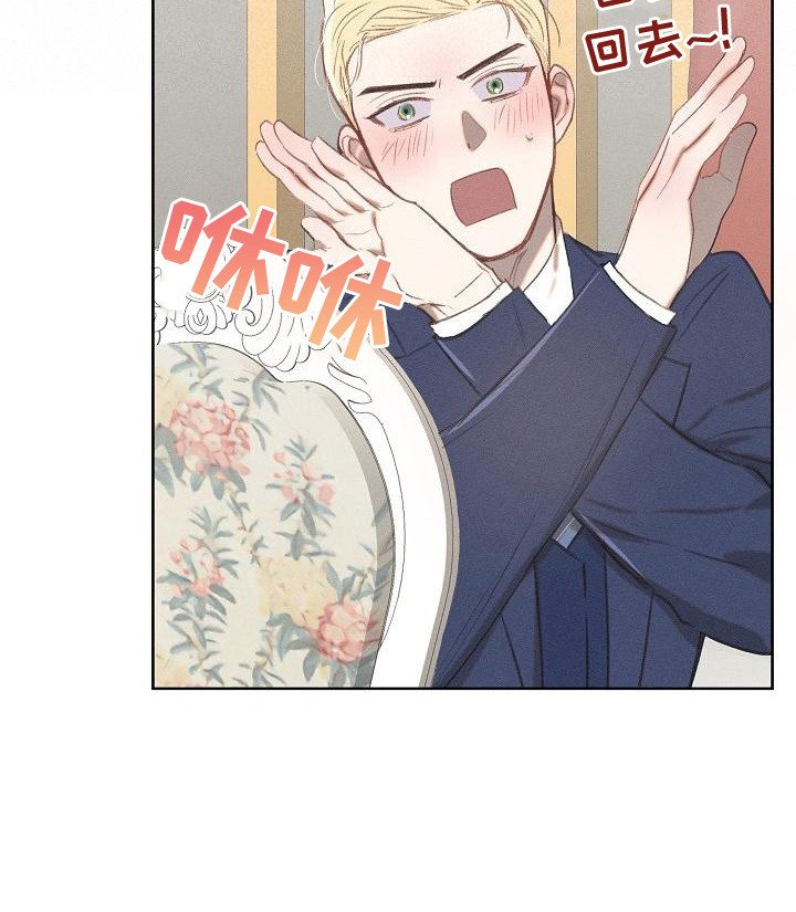 第15章：原则
