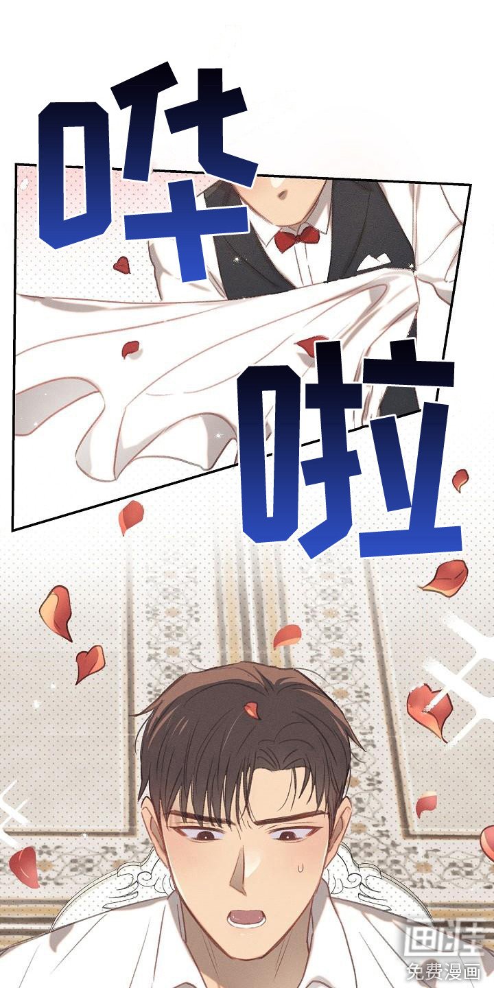 第15章：原则