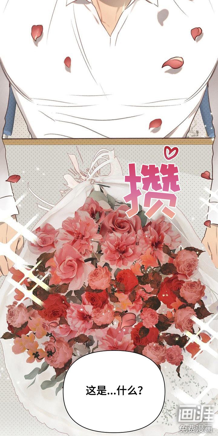 第15章：原则