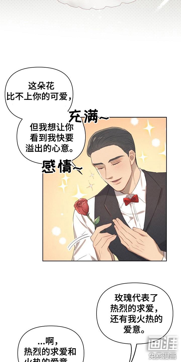 第15章：原则