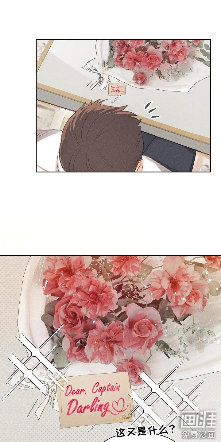 第15章：原则