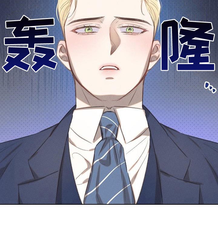 第15章：原则