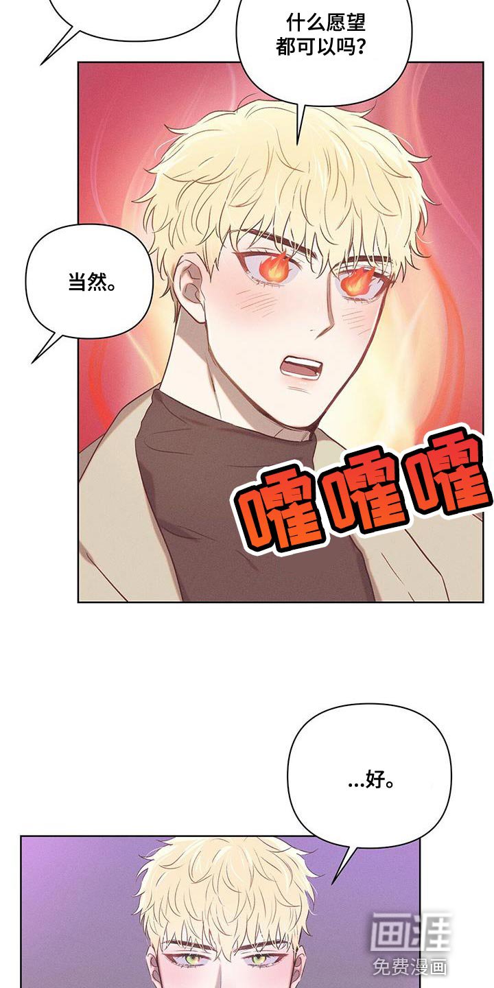 第27章：愿望