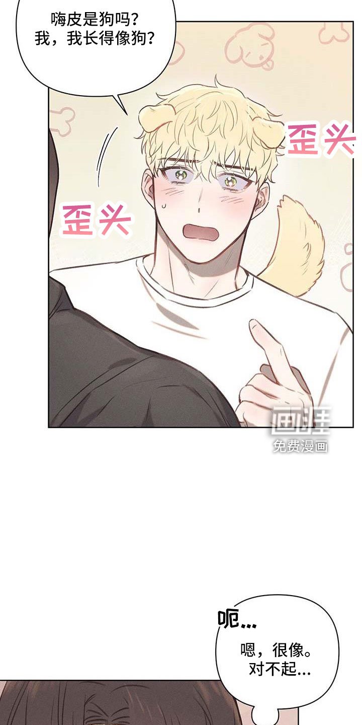 第35章：长得像嗨皮