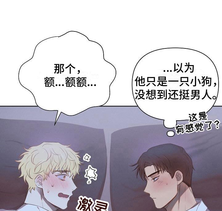第4章：调侃
