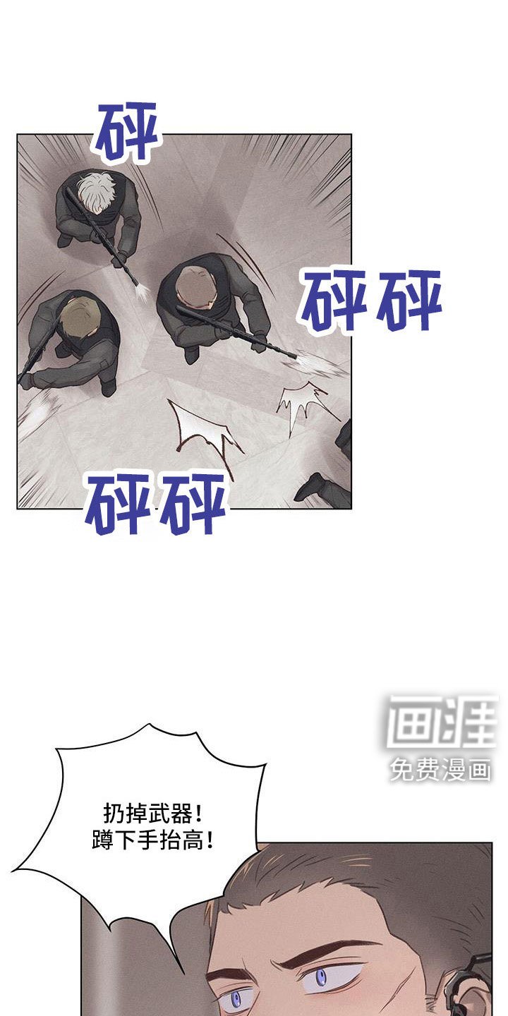 第41章：演习