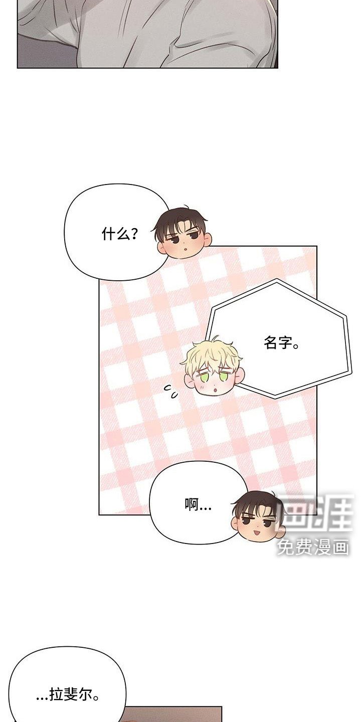 第43章：劝架