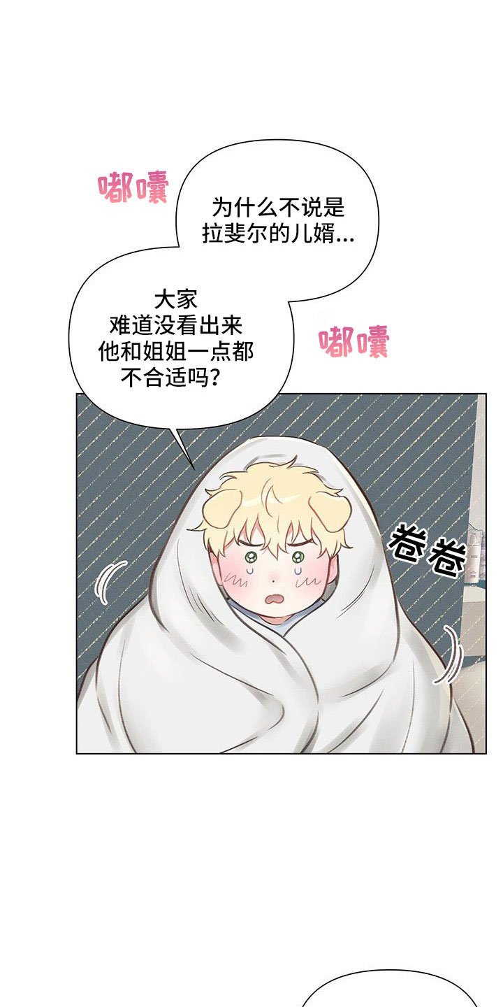 第44章：儿婿