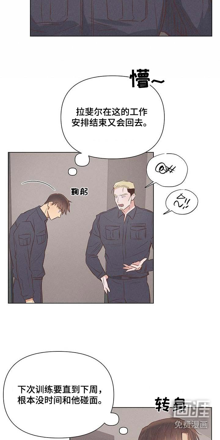 第52章：怎么办
