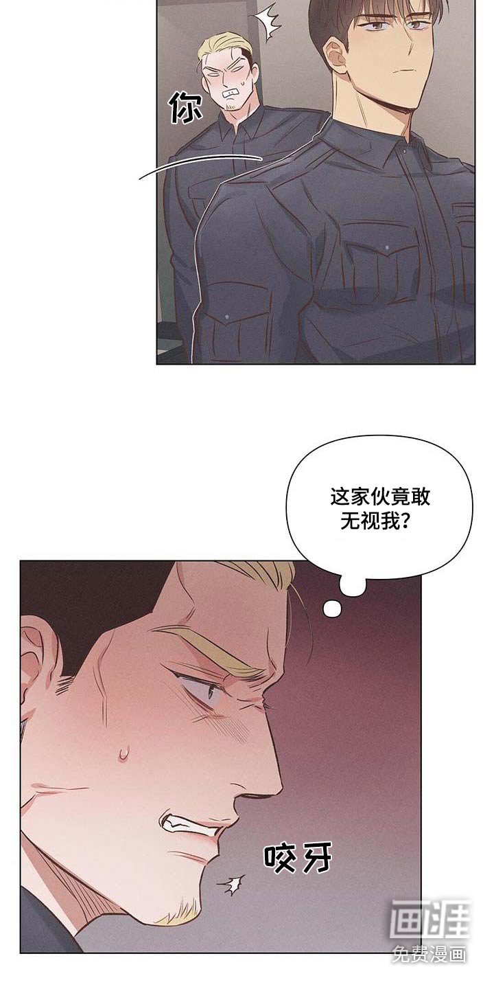 第52章：怎么办