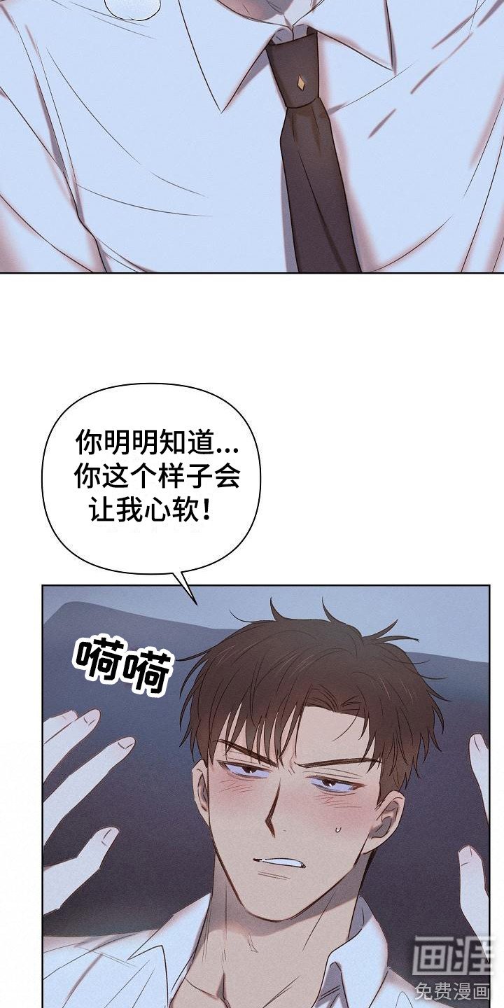 第6章：很可爱