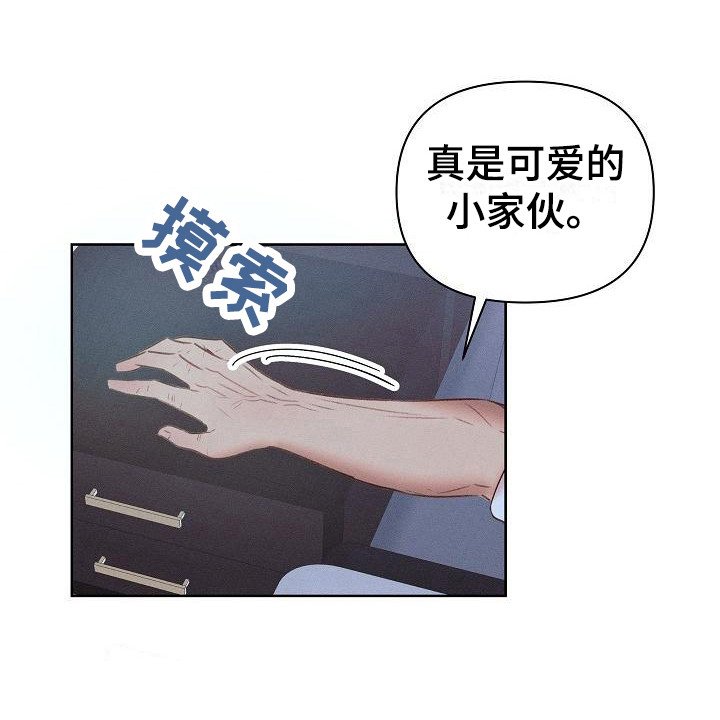 第6章：很可爱